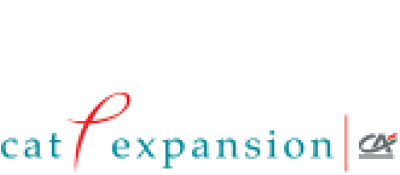 LogoCatExpansion2